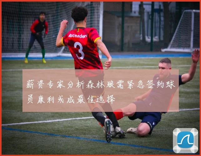 薪资专家分析森林狼需紧急签约球员康利或成最佳选择